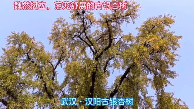 童话里的王子   第4页