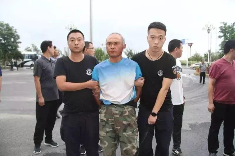 性感的猪 第5页