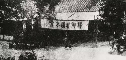 猫贪余温 第3页