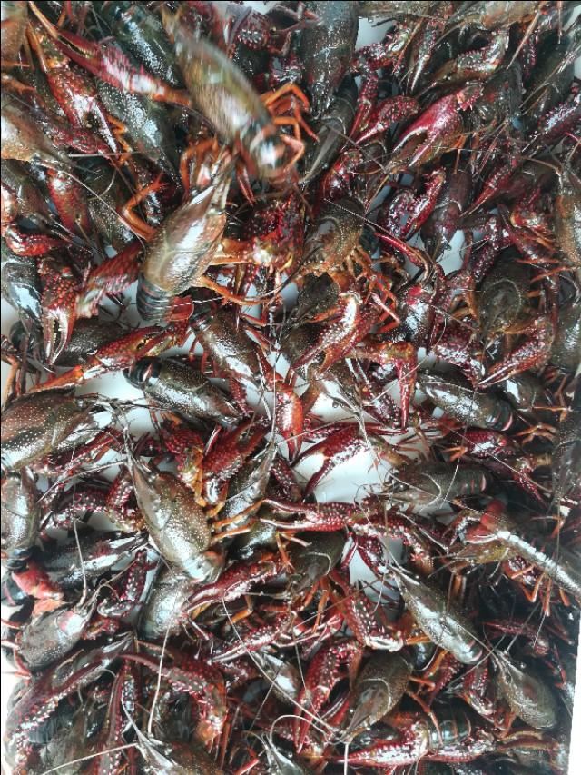 逆风的翅膀  _2 第3页