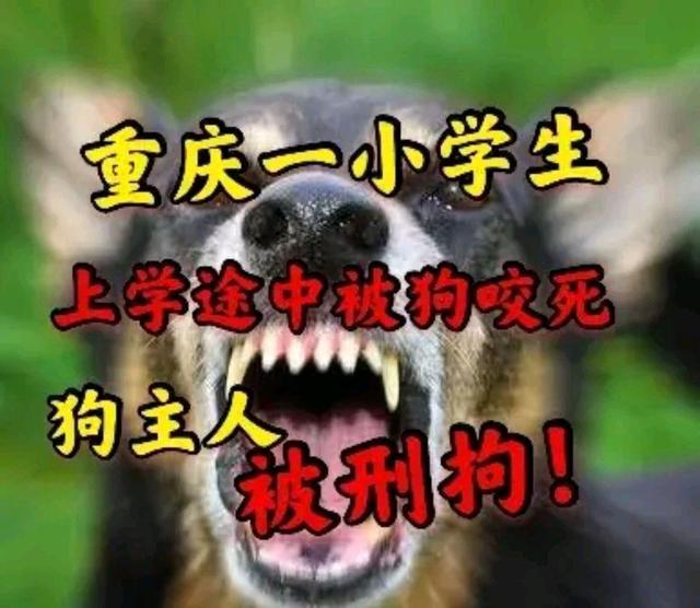 流浪的灵魂  _1 第3页
