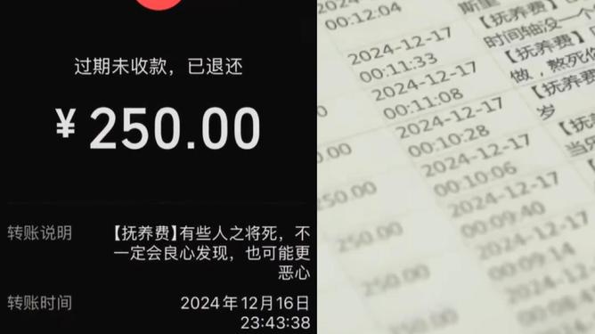 梦中的花瓣   第3页