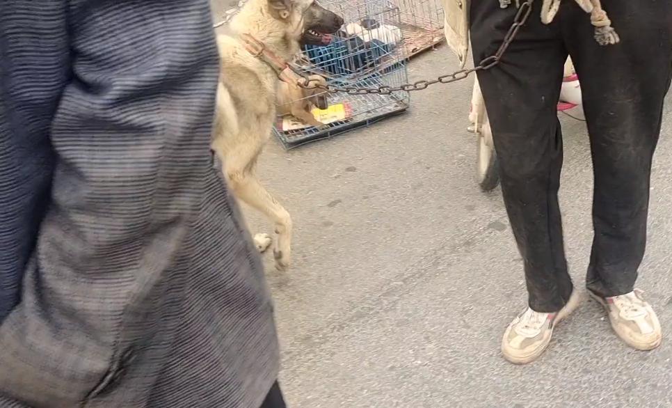梦想成真 第3页