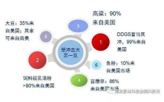 明月之眸 第3页