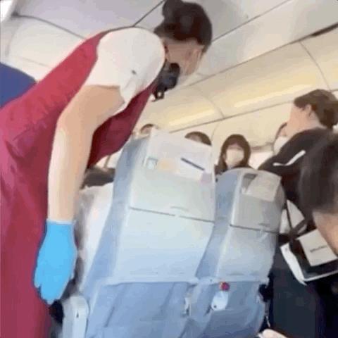 赠我欢颜 第2页
