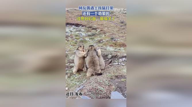 失落的时光   第2页