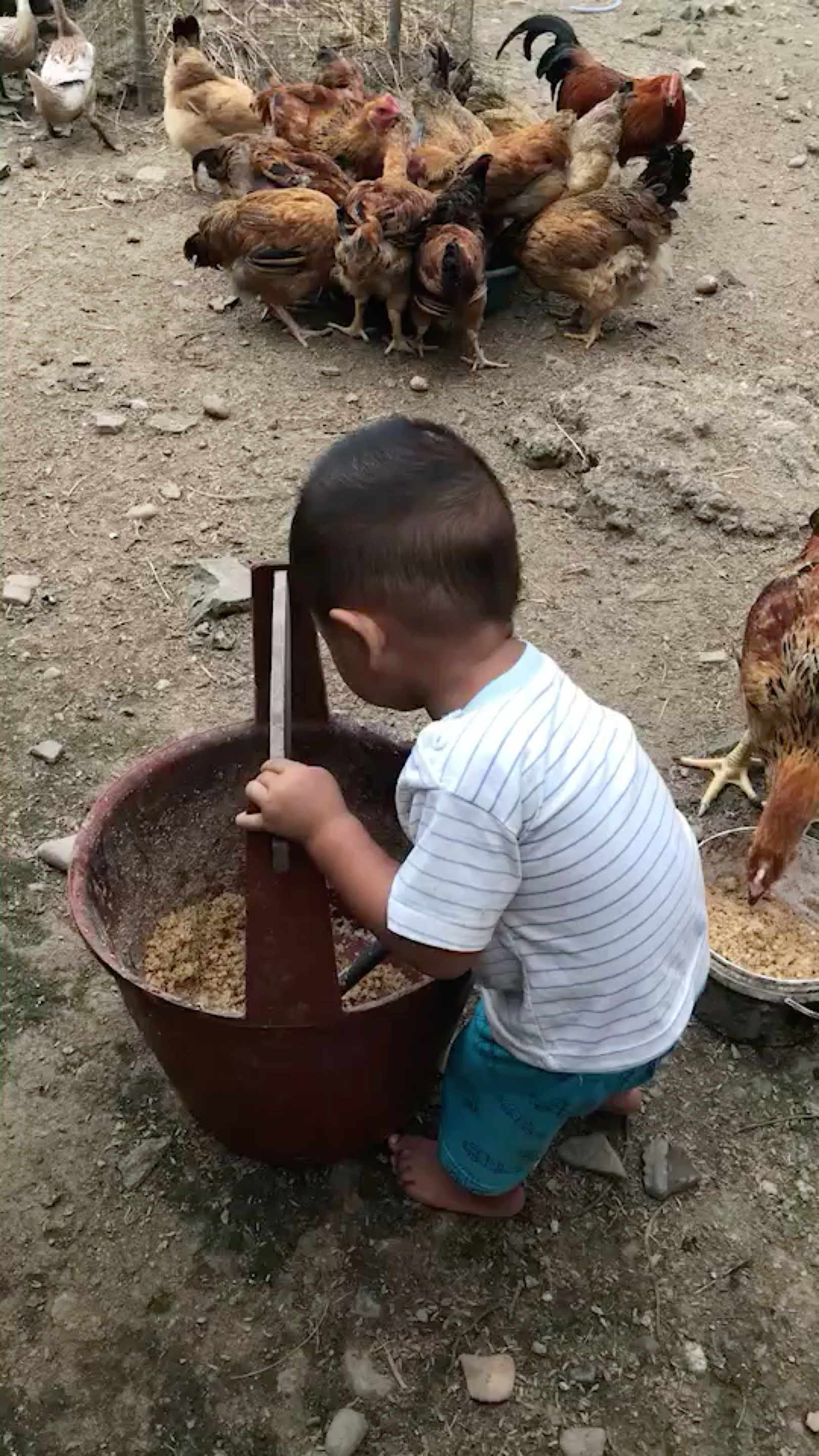 ゅ纪念相遇，