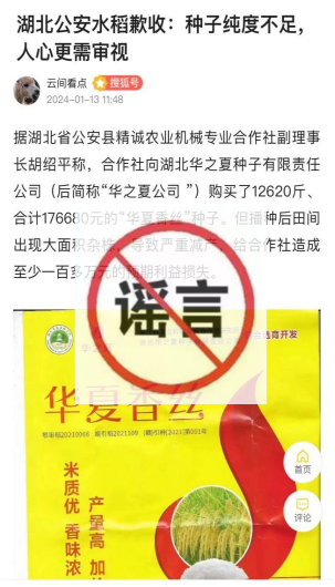 揭秘高考网络谣言案，三大案例深度剖析