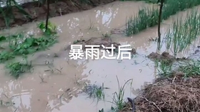 全红婵家新房因暴雨遭遇水淹，重建之路充满挑战与希望