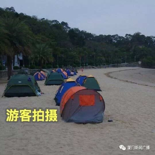 游戏专题 第61页