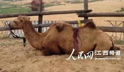 娱乐生活 第59页