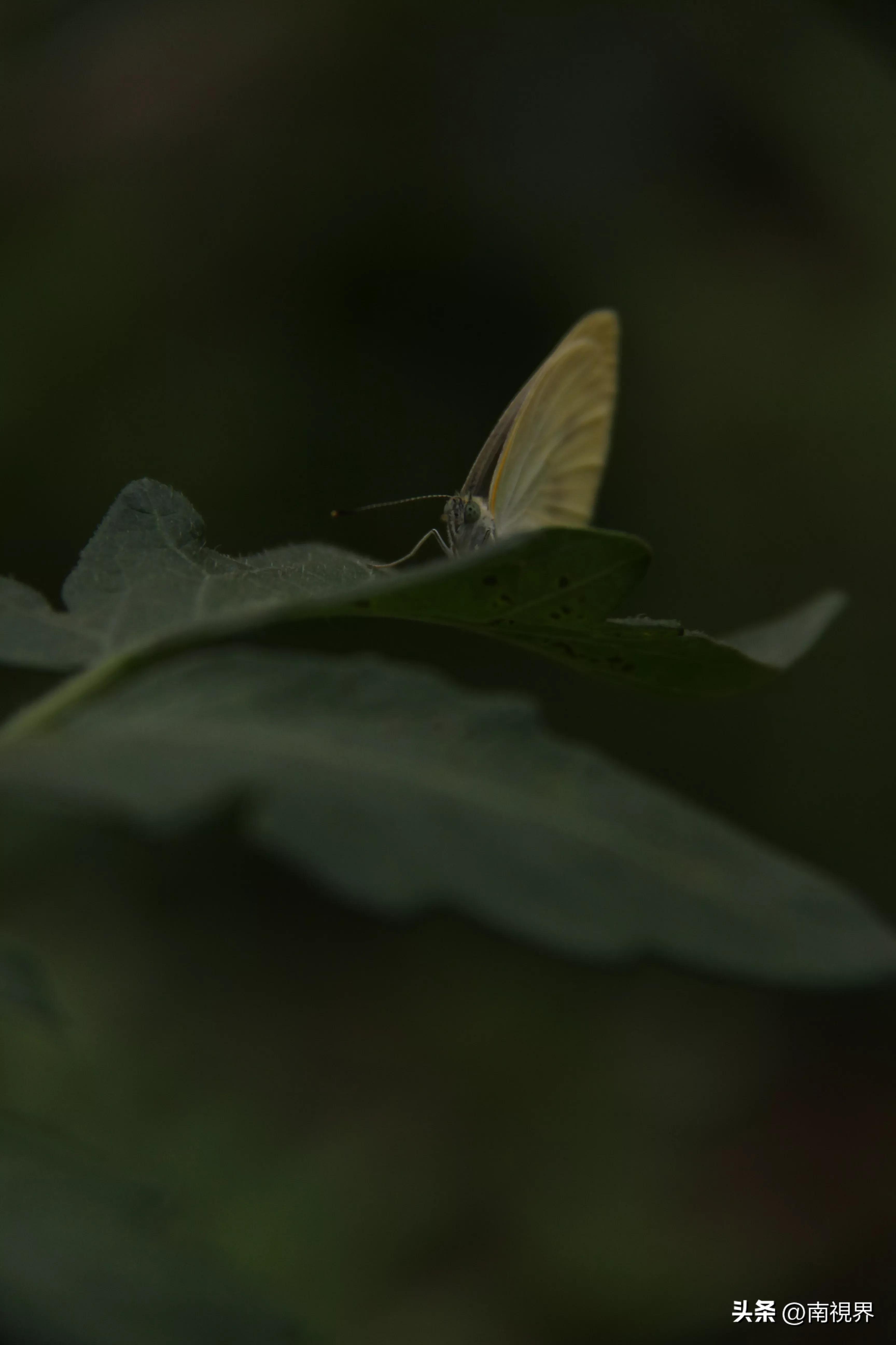娱乐生活 第14页