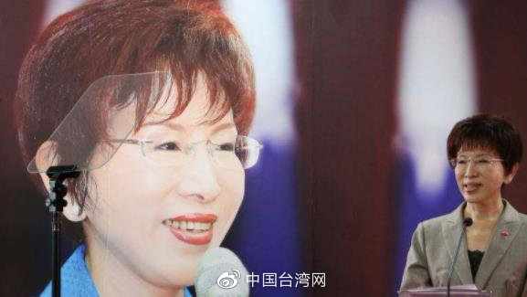 洪秀柱为何不参选2020洪秀柱在2020年并未参选任何公职。至于她为何没有参选的原因，可能有多种因素。以下是一些可能的因素